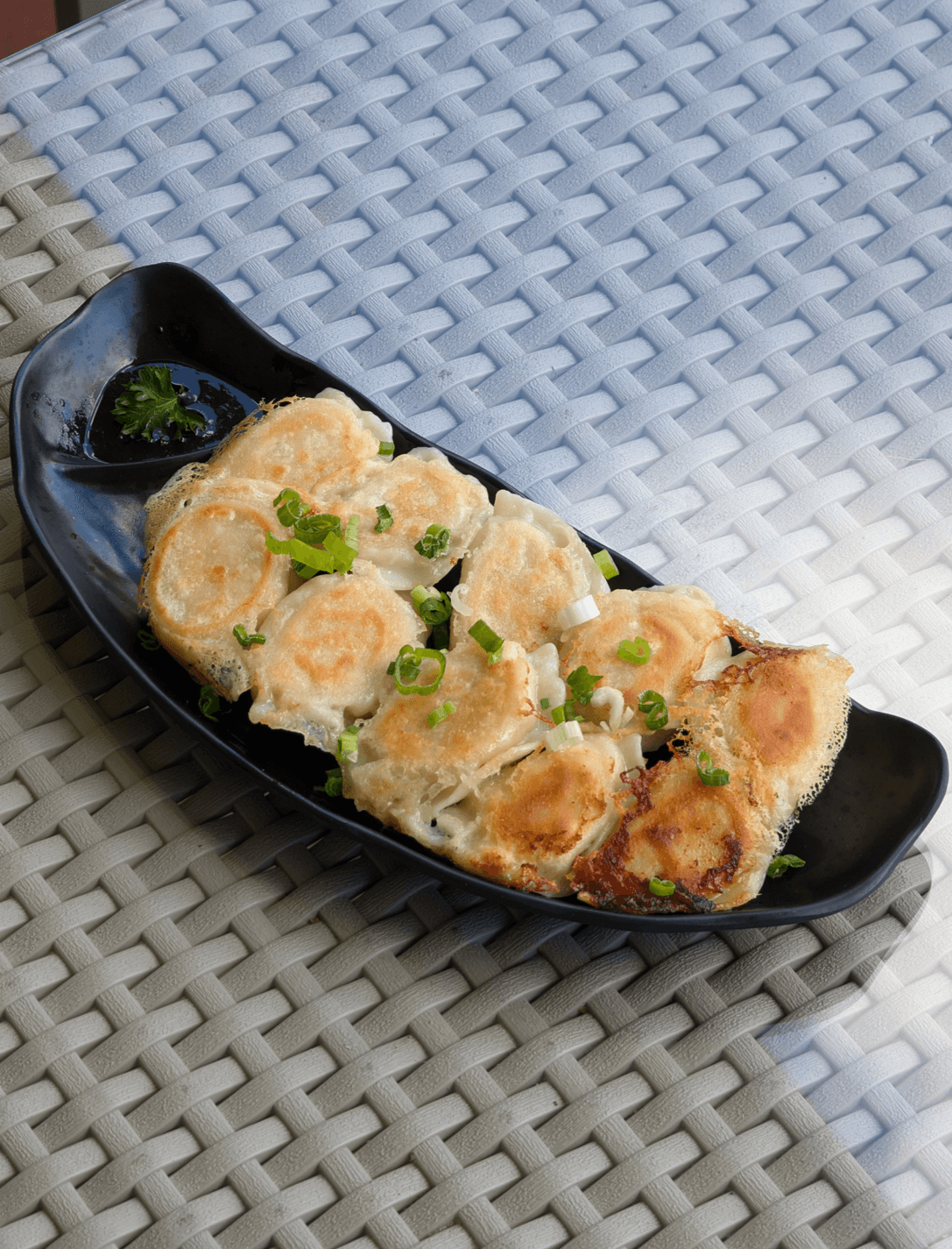 Pan Fried Dumplings (10pc)